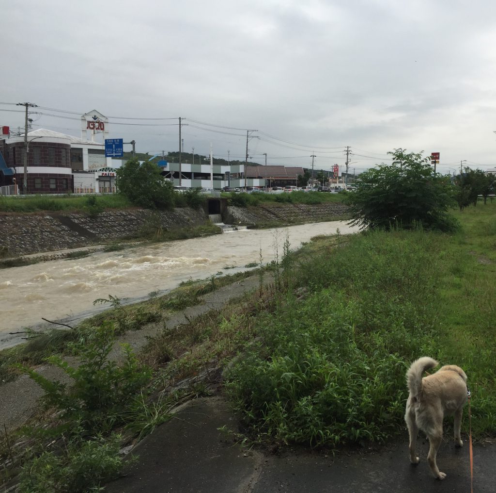台風明けの伊川