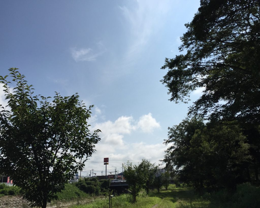 夏空