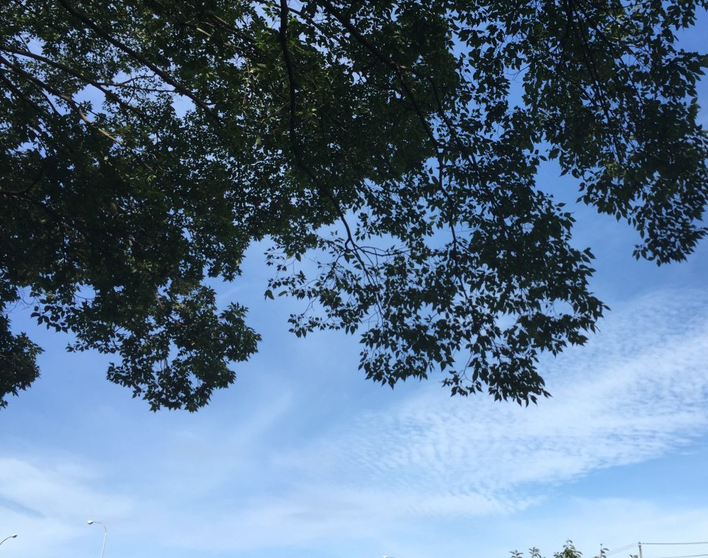 夏空