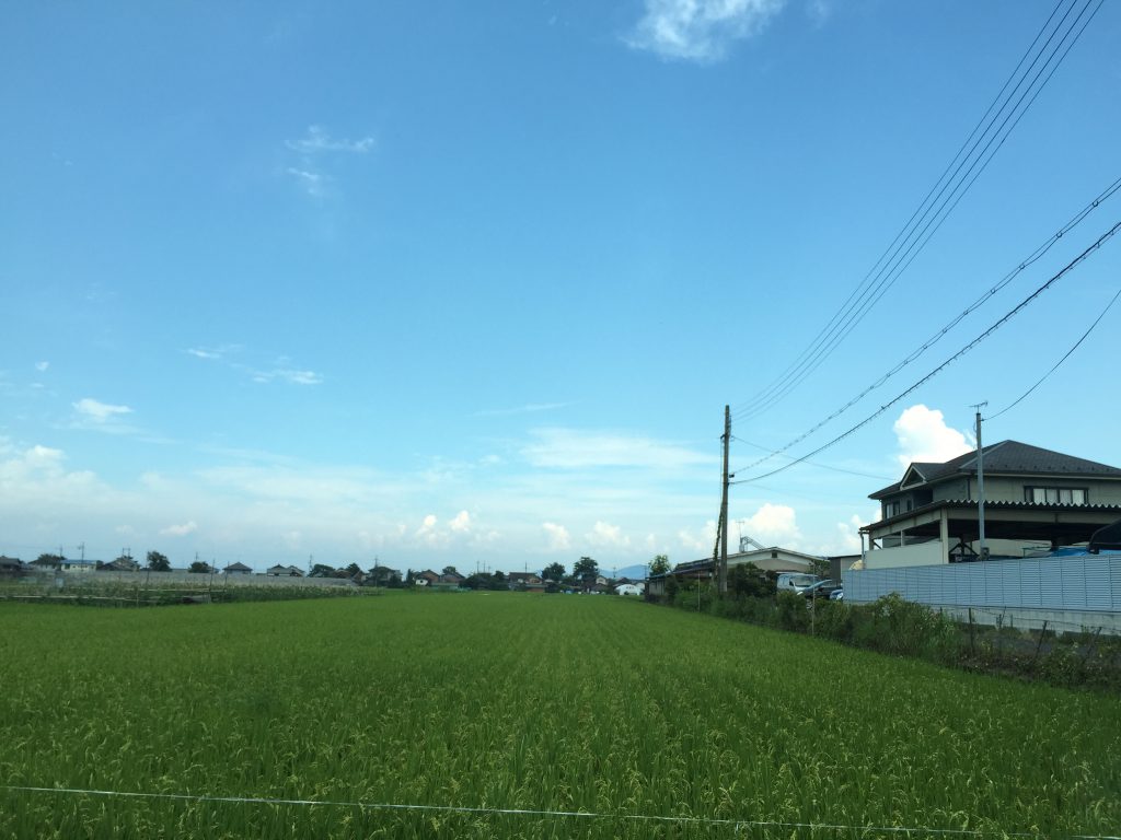 和邇浜を臨む