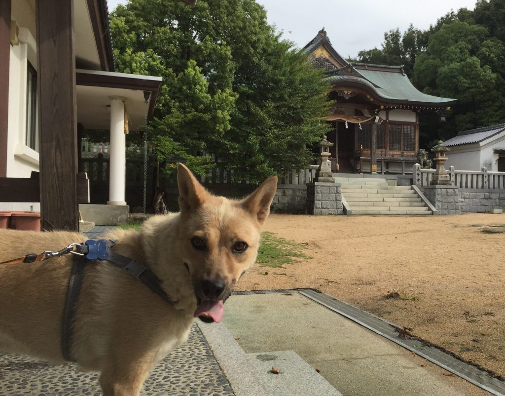 長月のお朔日参り