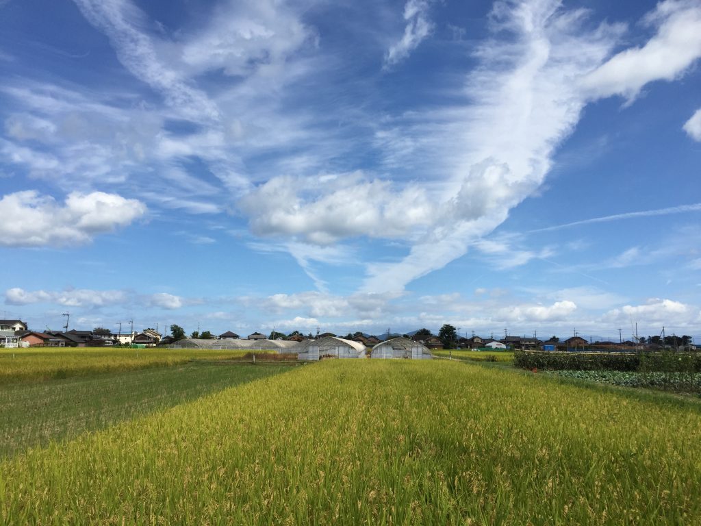 和邇浜を臨む