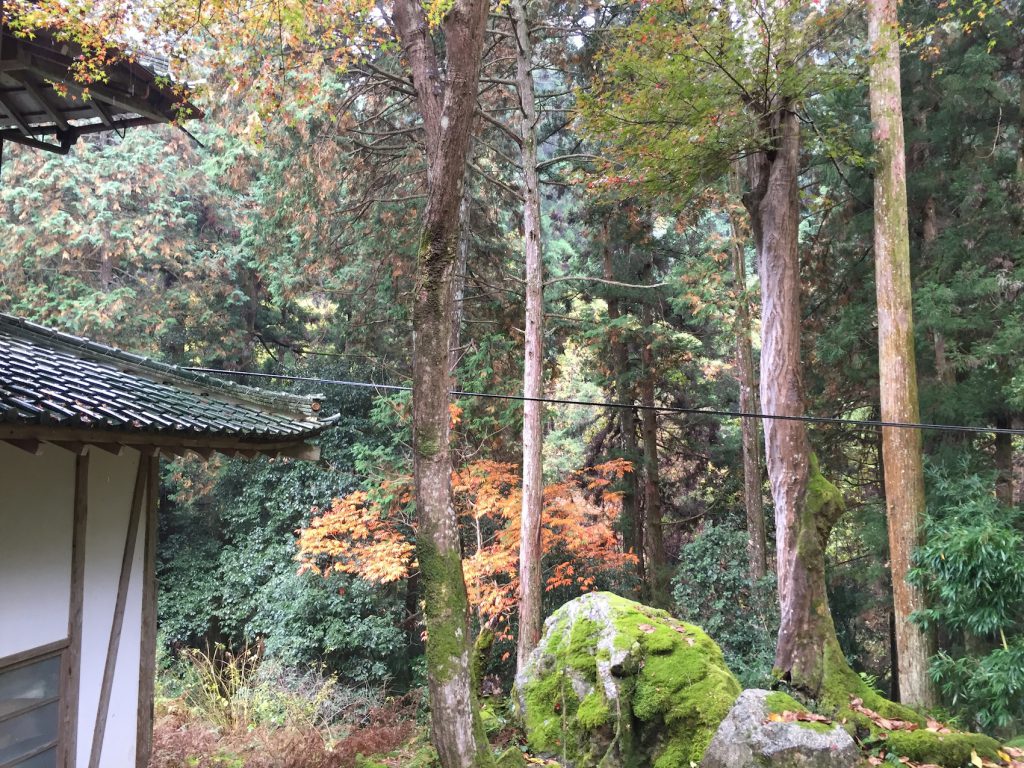 平成二十七年日吉大社献茶祭