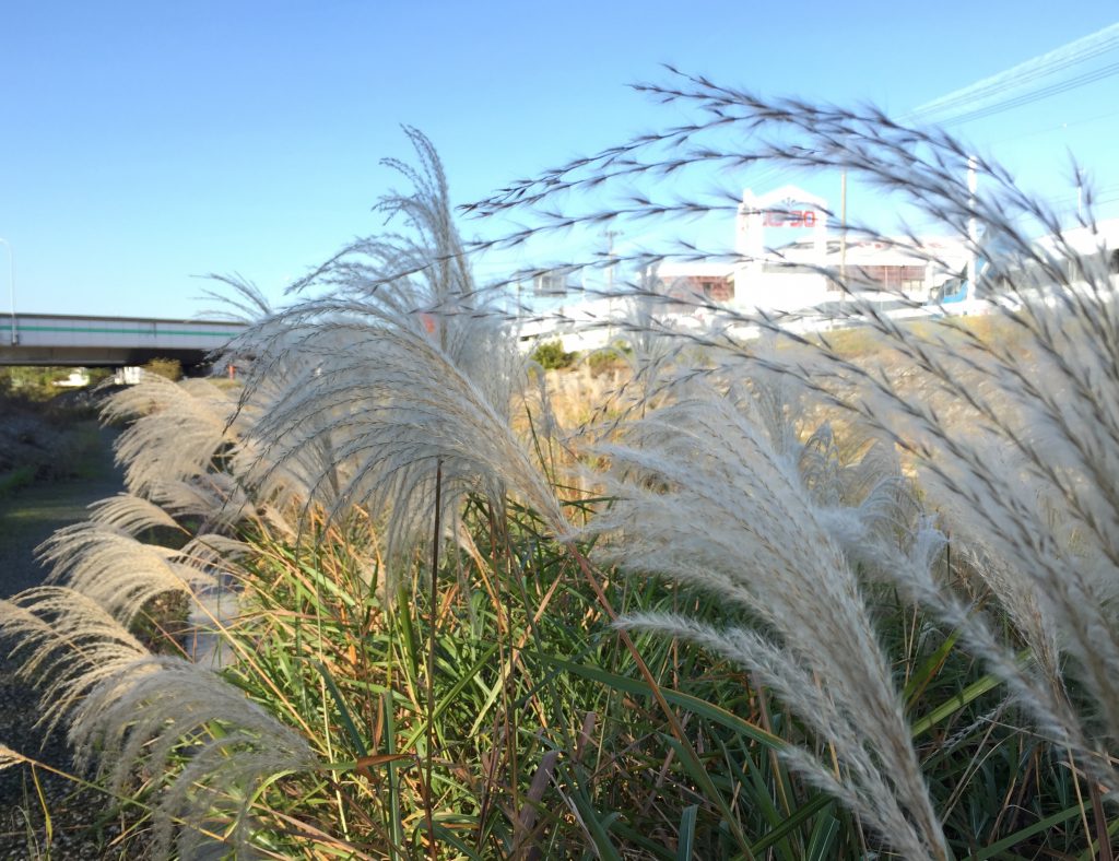 伊川河川敷