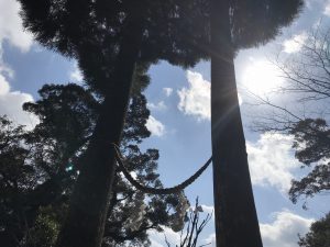 二月に訪れた霧島東神社